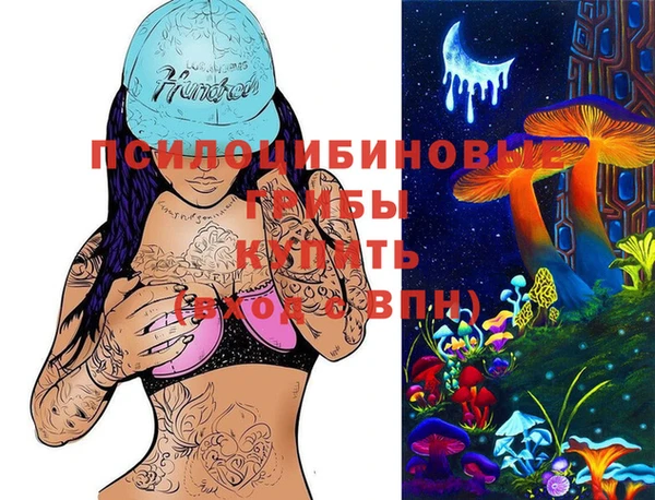 тгк Арсеньев