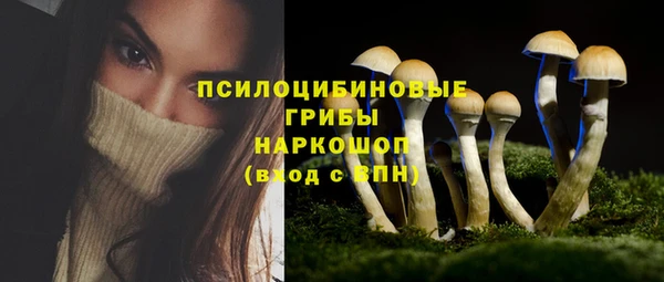 тгк Арсеньев