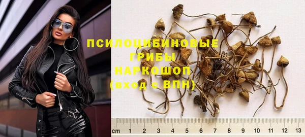 ALPHA-PVP Бородино