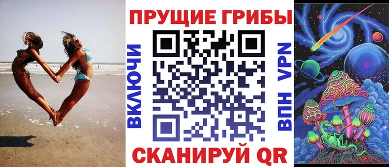 закладка  Судак  Псилоцибиновые грибы Cubensis 